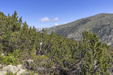 Tiha Rila, Rila Dağı, Bulg bölgesinden Stinky için Trail