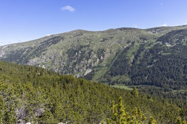 Tiha Rila, Rila Dağı, Bulg bölgesinden Stinky için Trail