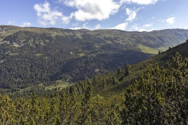 Tiha Rila, Rila Dağı, Bulg bölgesinden Stinky için Trail