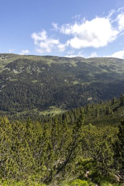 Tiha Rila, Rila Dağı, Bulg bölgesinden Stinky için Trail
