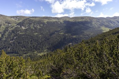 Tiha Rila, Rila Dağı, Bulg bölgesinden Stinky için Trail