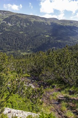Tiha Rila, Rila Dağı, Bulg bölgesinden Stinky için Trail
