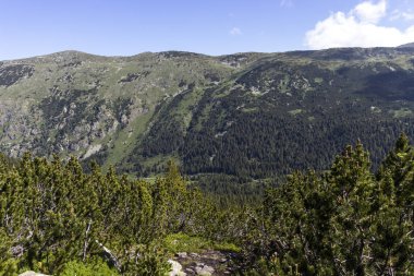 Tiha Rila, Rila Dağı, Bulg bölgesinden Stinky için Trail