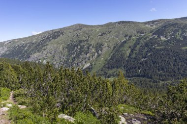 Tiha Rila, Rila Dağı, Bulg bölgesinden Stinky için Trail
