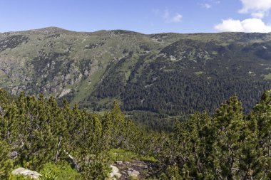 Tiha Rila, Rila Dağı, Bulg bölgesinden Stinky için Trail