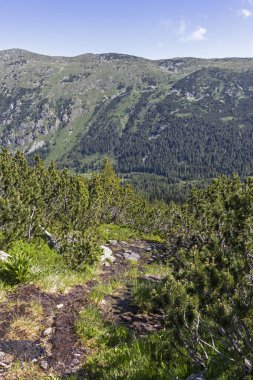 Tiha Rila, Rila Dağı, Bulg bölgesinden Stinky için Trail