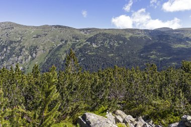Tiha Rila, Rila Dağı, Bulg bölgesinden Stinky için Trail