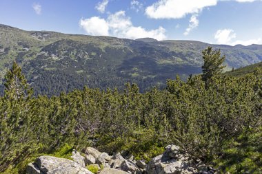 Tiha Rila, Rila Dağı, Bulg bölgesinden Stinky için Trail