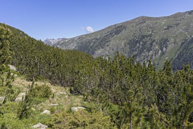 Tiha Rila, Rila Dağı, Bulg bölgesinden Stinky için Trail