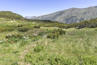 Tiha Rila, Rila Dağı, Bulg bölgesinden Stinky için Trail