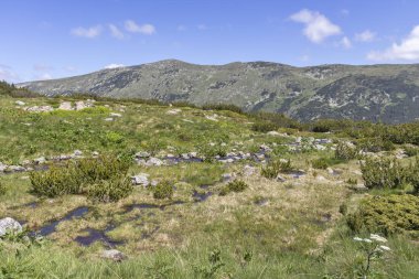 Tiha Rila, Rila Dağı, Bulg bölgesinden Stinky için Trail