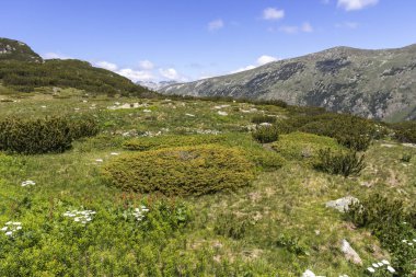 Tiha Rila, Rila Dağı, Bulg bölgesinden Stinky için Trail