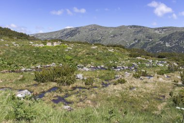 Tiha Rila, Rila Dağı, Bulg bölgesinden Stinky için Trail