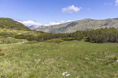 Tiha Rila, Rila Dağı, Bulg bölgesinden Stinky için Trail
