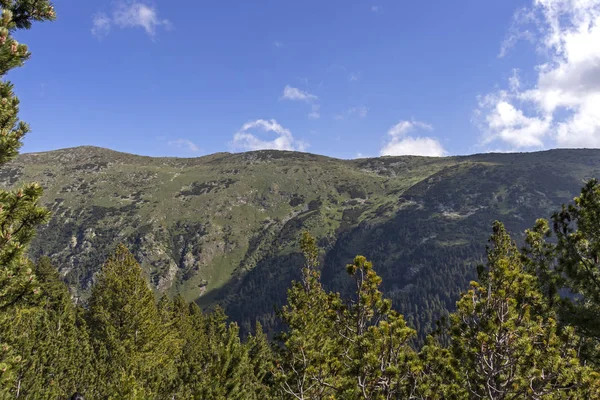 Weg für den Stinker aus der Gegend von tiha rila, rila mountain, bulg — Stockfoto