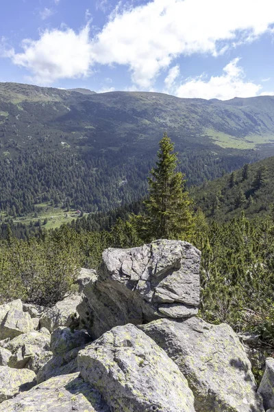 Weg für den Stinker aus der Gegend von tiha rila, rila mountain, bulg — Stockfoto