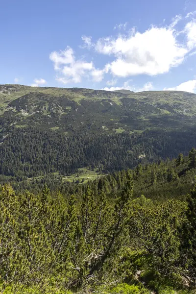 Szlak dla Stinky z okolic Tiha Rila, Rila Mountain, Bulg — Zdjęcie stockowe