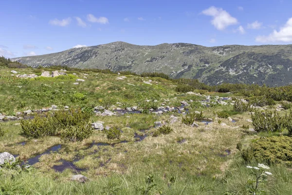 Tiha Rila, Rila Dağı, Bulg bölgesinden Stinky için Trail