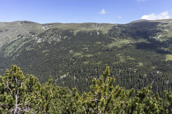 Krajobraz w pobliżu jeziora Stinky, Rila Mountain, Bułgaria — Zdjęcie stockowe