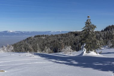 Vitosha Dağı Kış manzarası, Bulgaristan