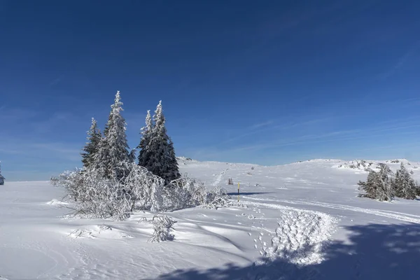 Winter landschap van Vitosha Mountain, Bulgarije — Stockfoto