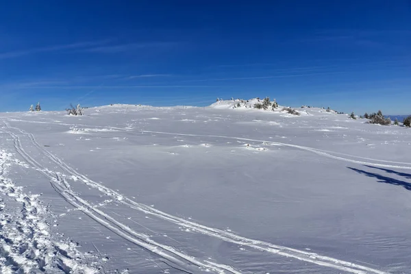 Winterlandschaft des Vitosha-Gebirges, Bulgarien — Stockfoto