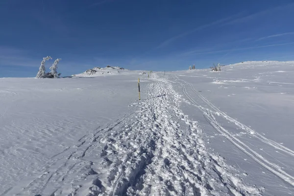 Paisaje invernal de Vitosha Mountain, Bulgaria —  Fotos de Stock