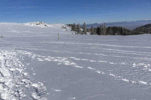 Paisaje invernal de Vitosha Mountain, Bulgaria — Foto de Stock