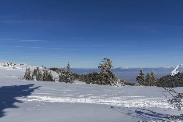 Téli táj Vitosha Mountain, Bulgária — Stock Fotó