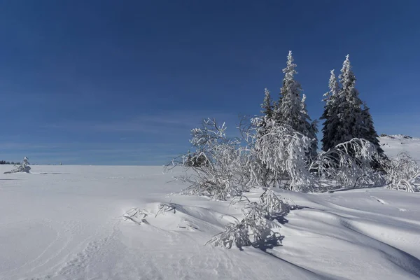 Winter landschap van Vitosha Mountain, Bulgarije — Stockfoto