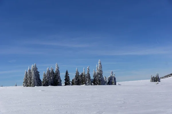 Χειμερινό τοπίο του βουνού Βίτοσα, Βουλγαρία — Φωτογραφία Αρχείου