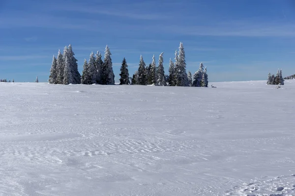 Зимовий ландшафт Вітоша гори, Болгарія — стокове фото