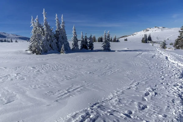 Vitosha Dağı Kış manzarası, Bulgaristan — Stok fotoğraf