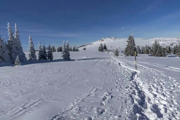 Vinterlandskap av Vitoshaberget, Bulgarien — Stockfoto