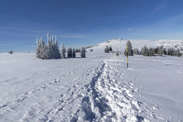 ヴィトシャ山の冬の風景, ブルガリア — ストック写真