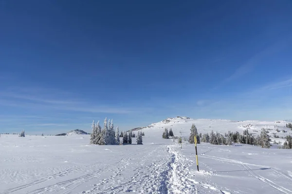 비토샤 산, 불가리아의 겨울 풍경 — 스톡 사진