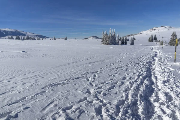 Paisaje invernal de Vitosha Mountain, Bulgaria —  Fotos de Stock