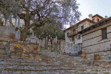 Timiou Prodromou Monastery near town of Serres, Greece clipart