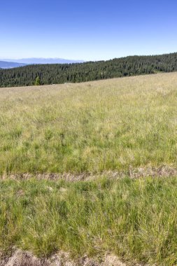 Yürüyüş parkurundan Belmeken Peak, Rila dağına manzara