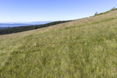 Yürüyüş parkurundan Belmeken Peak, Rila dağına manzara