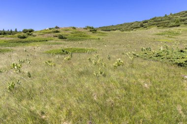 Yürüyüş parkurundan Belmeken Peak, Rila dağına manzara