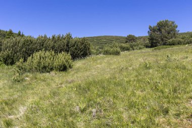 Yürüyüş parkurundan Belmeken Peak, Rila dağına manzara