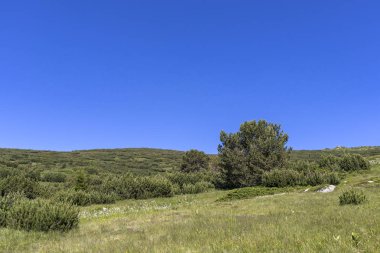 Yürüyüş parkurundan Belmeken Peak, Rila dağına manzara