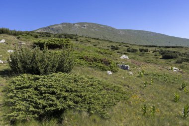 Yürüyüş parkurundan Belmeken Peak, Rila dağına manzara