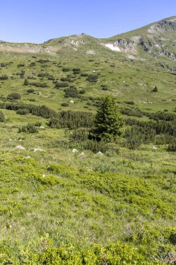 Yürüyüş parkurundan Belmeken Peak, Rila dağına manzara