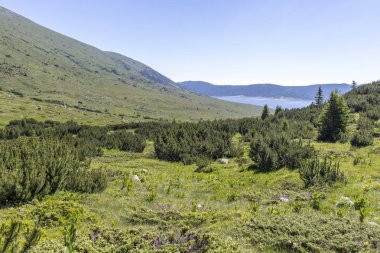 Yürüyüş parkurundan Belmeken Peak, Rila dağına manzara