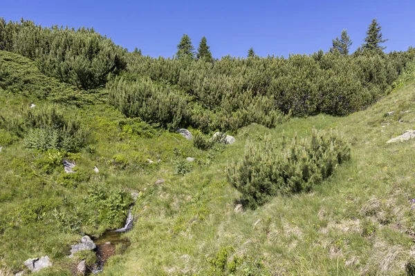 Yürüyüş parkurundan Belmeken Peak, Rila dağına manzara