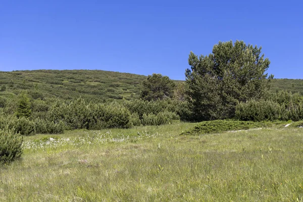 Yürüyüş parkurundan Belmeken Peak, Rila dağına manzara