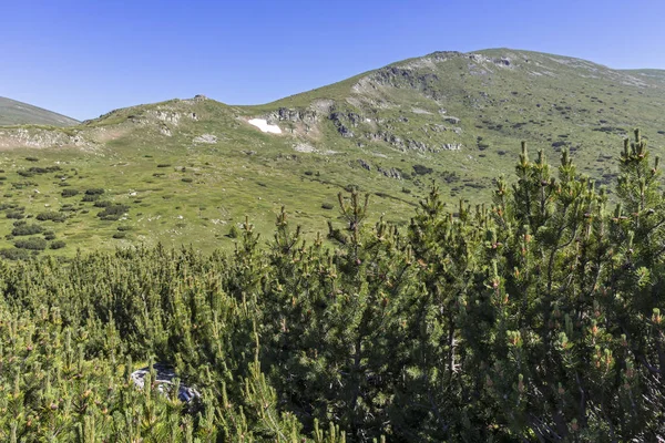 Krajina od pěší trasy do Belmeken Peak, Rilský vrch — Stock fotografie