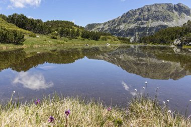 Balık Gölleri yakınlarındaki manzara, Rila dağı, Bulgaristan